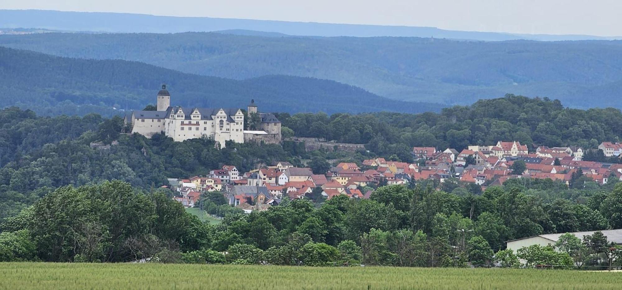 Ferienhaus-Wurzbach Екстериор снимка